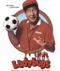 窈窕淑女队 Ladybugs            (1992)