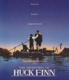 哈克·贝利·芬历险记 The Adventures of Huck Finn            (1993)