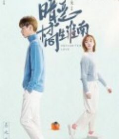 暗恋·橘生淮南            (2021)