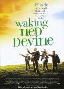乐翻天 Waking Ned Devine            (1998)