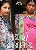 代孕者 House of Surrogates            (2013)