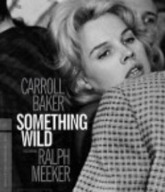 断肠孤凤 Something Wild            (1961)