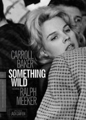 断肠孤凤 Something Wild            (1961)