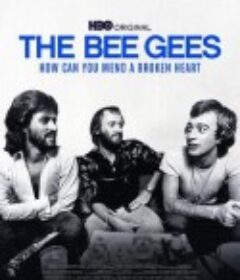 比吉斯：如何修复受伤心灵 The Bee Gees: How Can You Mend a Broken Heart            (2020)