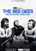 比吉斯：如何修复受伤心灵 The Bee Gees: How Can You Mend a Broken Heart            (2020)