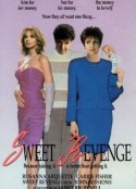 甜蜜的报复 Sweet Revenge            (1990)