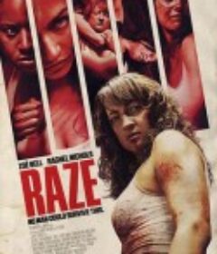 摧毁 Raze            (2013)