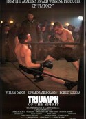 无敌男儿 Triumph of the Spirit            (1989)