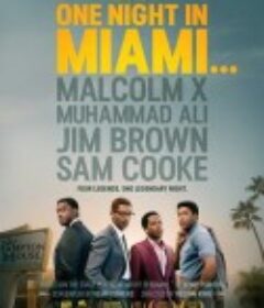 迈阿密的一夜 One Night in Miami            (2020)
