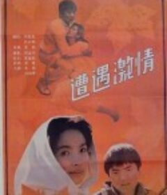 遭遇激情            (1990)