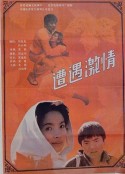 遭遇激情            (1990)