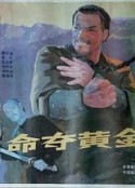 命夺黄金图            (1990)
