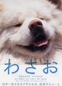 秋田犬蓬夫 わさお            (2011)
