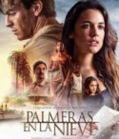 雪中的棕榈树 Palmeras en la nieve            (2015)