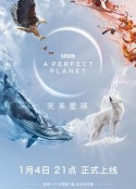 完美星球 A Perfect Planet            (2021)