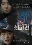 牛蝇 쇠파리            (2017)