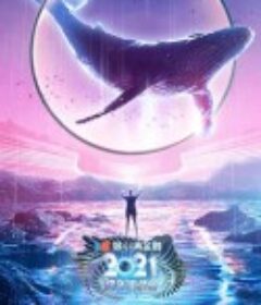 2021江苏卫视跨年演唱会            (2020)