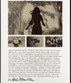 流行艺术笔记 Notes on the Popular Arts            (1978)