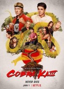 眼镜蛇 第三季 Cobra Kai Season 3            (2021)