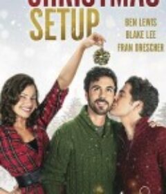 圣诞速配 The Christmas Setup            (2020)