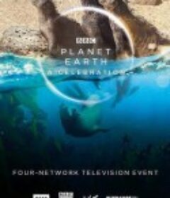 地球脉动：生命礼赞 Planet Earth: A Celebration            (2020)