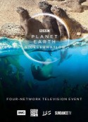 地球脉动：生命礼赞 Planet Earth: A Celebration            (2020)