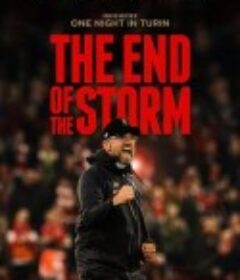 风暴尽头 The End of the Storm            (2020)