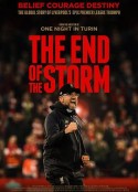 风暴尽头 The End of the Storm            (2020)