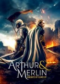 亚瑟与梅林：圣杯骑士 Arthur &amp; Merlin: Knights of Camelot            (2020)