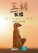 王朝：狐獴特辑 Dynasties: Meerkat Special            (2020)