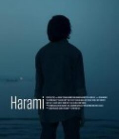 哈拉米 Harami: The Bastard            (2020)