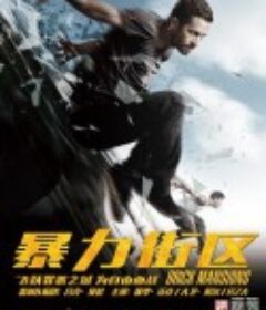 暴力街区 Brick Mansions            (2014)