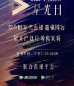 2020腾讯视频星光大赏            (2020)