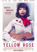 黄玫瑰 Yellow Rose            (2019)