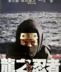 龙之忍者 龍之忍者            (1982)