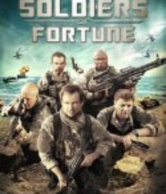 雇佣兵 Soldiers of Fortune            (2012)