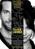 乌云背后的幸福线 Silver Linings Playbook            (2012)
