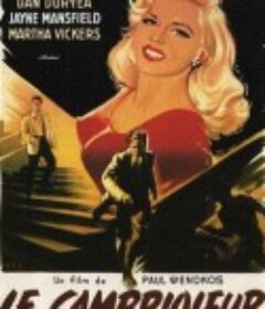 义盗娇娃 The Burglar            (1957)