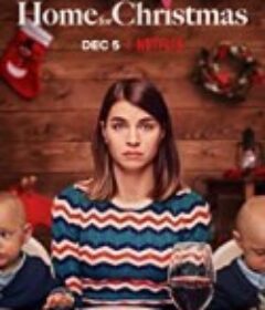 圣诞寻伴 第二季 Hjem til jul 2            (2020)