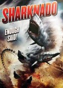 鲨卷风 Sharknado            (2013)
