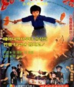 好小子的下一招            (1979)