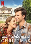 加州圣诞 A California Christmas            (2020)