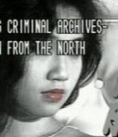 香港奇案北地胭脂            (1991)