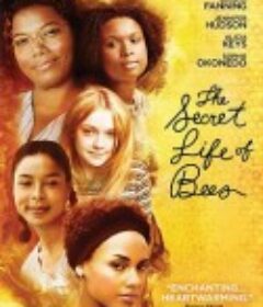 蜜蜂的秘密生活 The Secret Life of Bees            (2008)