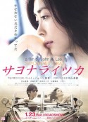 再见，总有一天 サヨナライツカ            (2010)