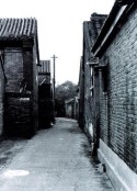 北京的胡同            (2010)