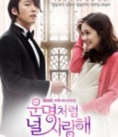 命中注定我爱你 운명처럼 널 사랑해            (2014)