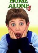 小鬼当家4 Home Alone 4            (2002)