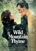 野山百里香 Wild Mountain Thyme            (2020)