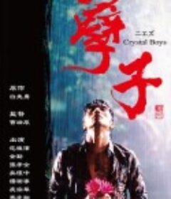 孽子            (2003)